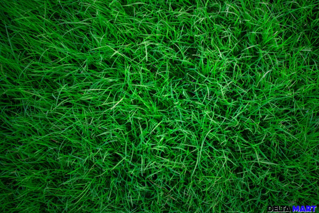 1 x Horse Gateway Rubber GRASS Mat 1500mm x 1000mm FREE Delivery 22mm